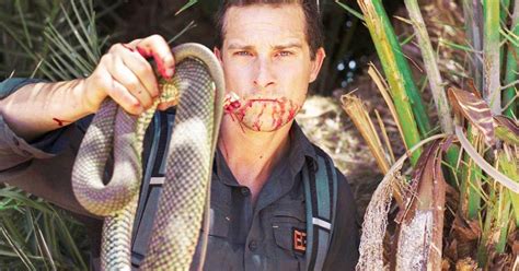 naked and afraid producer snake bite|Graphic Image Warning: Bear Grylls Producer Suffers Gruesome。